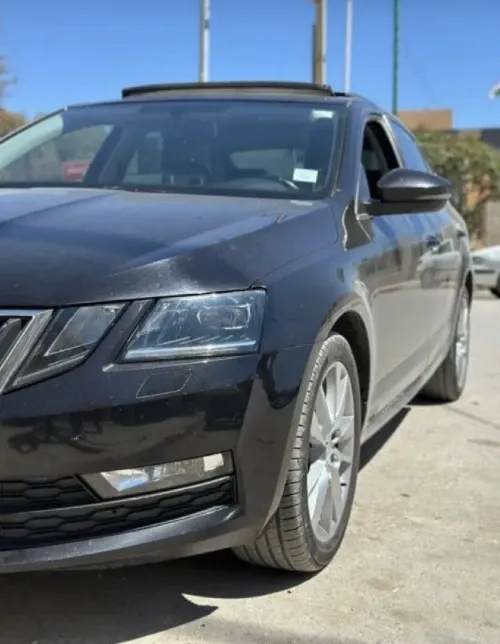 Skoda Octavia 2019 Octavia