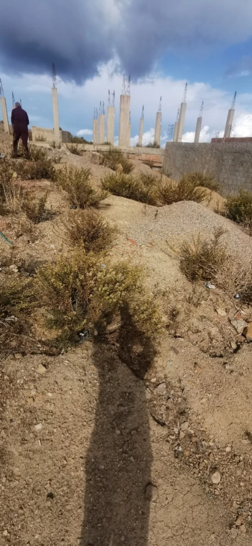 Vente Terrain Chlef Oued goussine