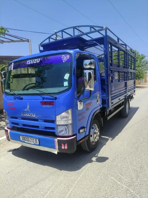 Isuzu Npr super jumbo 2013