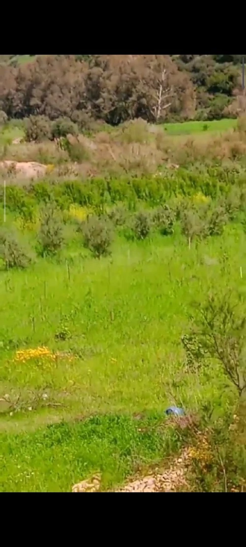 Vente Terrain Agricole Aïn Defla Ain benian 3