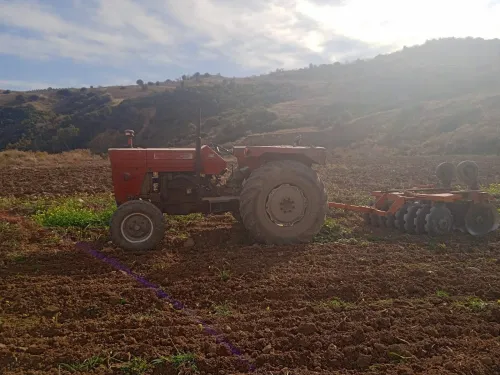 Vente Terrain Agricole Aïn Defla Ain benian 11
