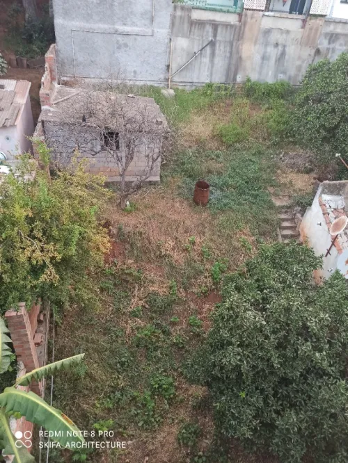 Vente Carcasse Alger El mouradia
