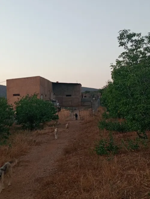 Vente Terrain Agricole Tlemcen Ain fezza