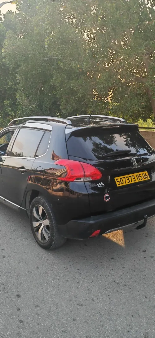 Peugeot 2008 2015 Erg