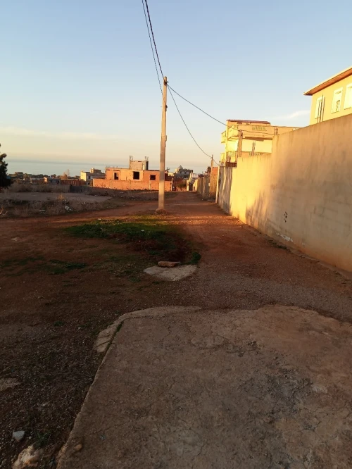 Vente Terrain Tipaza Bou ismail
