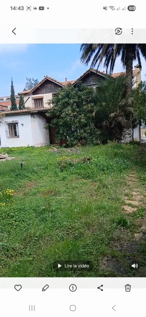 Vente Terrain Tipaza Kolea