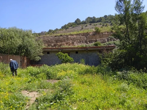 Vente Terrain Tipaza Cherchell