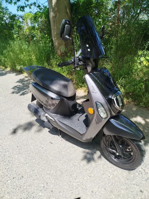 Vms Estate x 2025