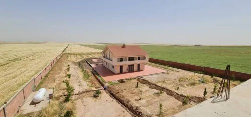 Vente Terrain Agricole Tiaret Ain bouchekif