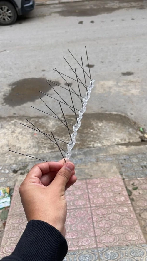 Ecopic Pigeons الحمام pic anti pigeons مكافحة الحمام
