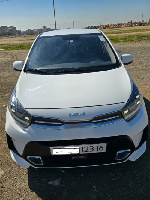 Kia Picanto 2023 Morning