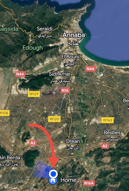 Vente Guelma Ain ben beida