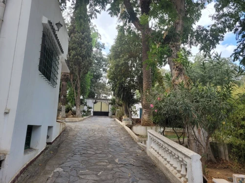 Location Villa Alger Ben aknoun