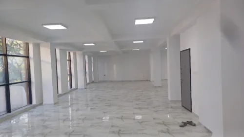 Location Local Alger Alger centre