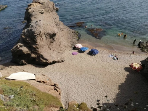 Vente Terrain Alger Rais hamidou
