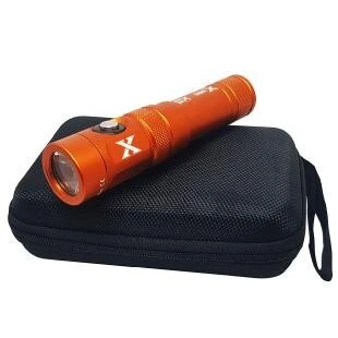 Lampe Puissante X 12 BERSUB