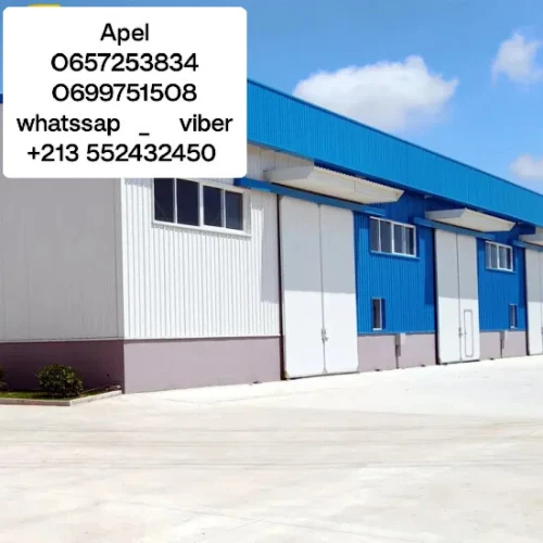 Location Hangar Blida Meftah