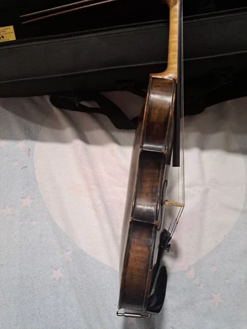 Violon 