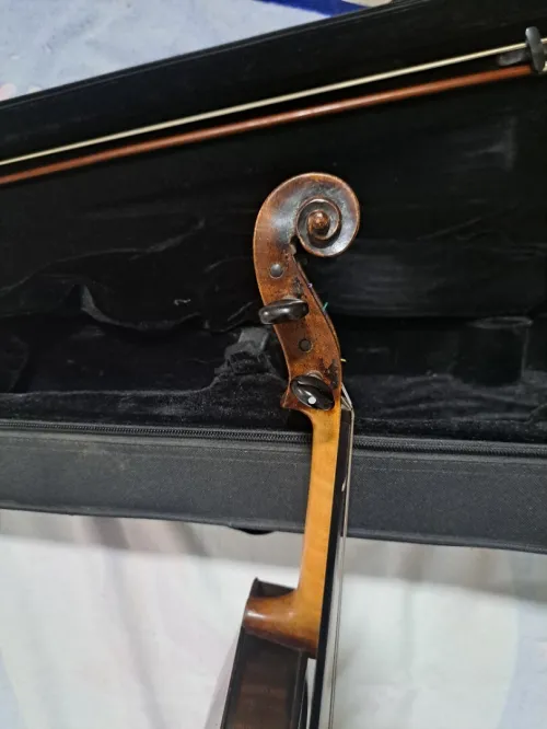 Violon 