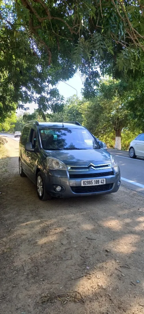 Citroen Berlingo 2009 Berlingo