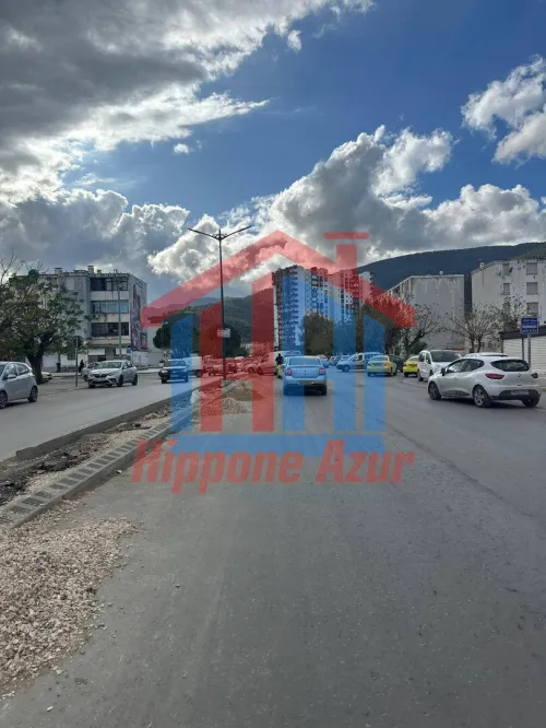 Location Local Annaba Annaba