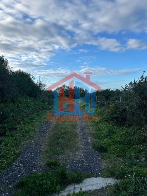 Vente Terrain Annaba Annaba
