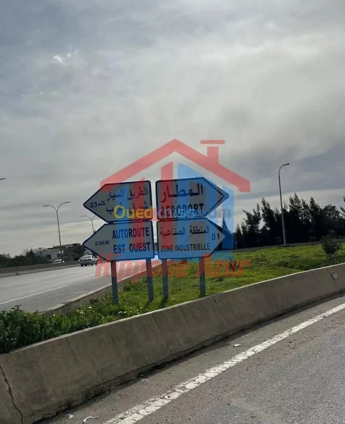 Location Hangar Annaba El bouni