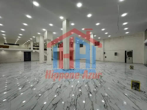 Location Local Annaba Annaba