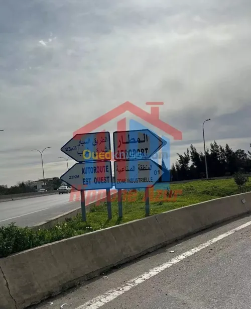 Location Hangar Annaba Annaba