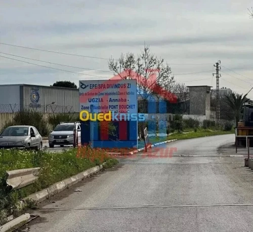 Location Hangar - Usine Annaba Annaba