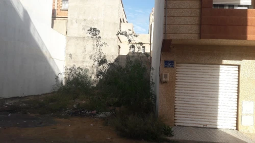 Vente Terrain Oran Bir el djir