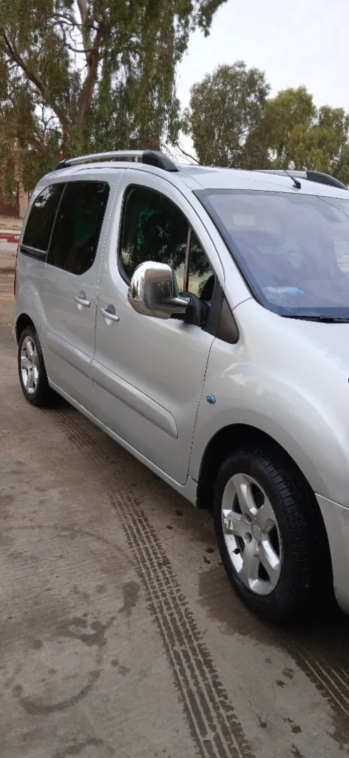 Peugeot Partner 2011 Tepee