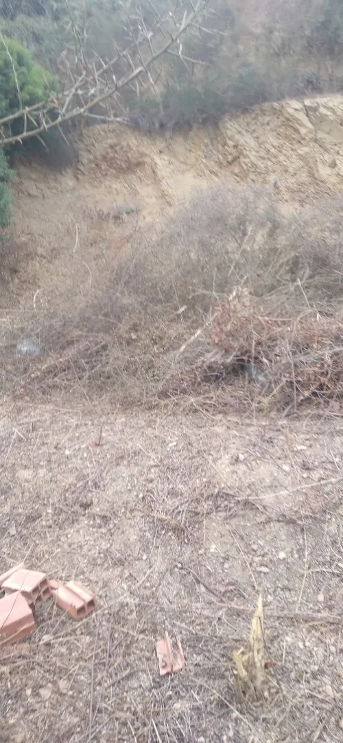 Vente Terrain Béjaïa Bejaia