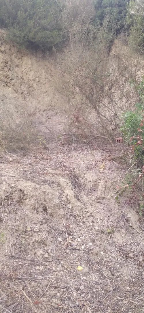 Vente Terrain Béjaïa Bejaia