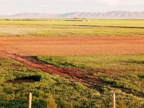 Vente Terrain Agricole Tiaret Mahdia