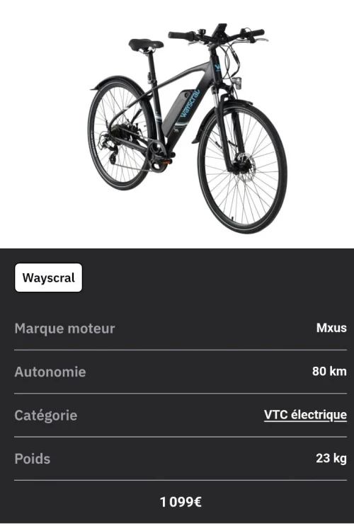 Vélo électrique wayscral e100