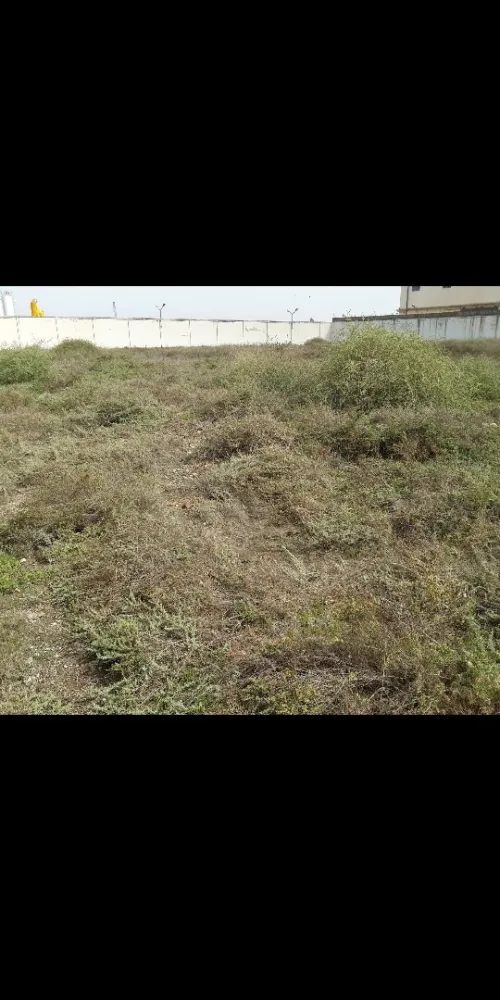 Vente Terrain Oran Es senia