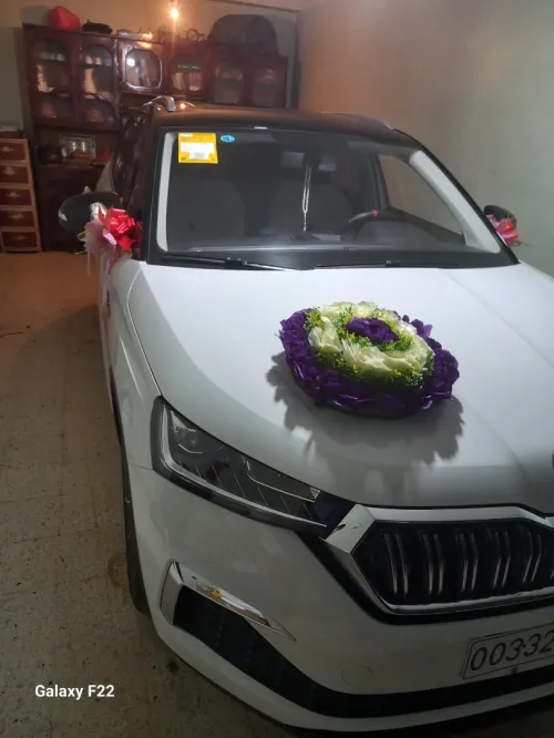 Skoda Kamiq 2025 Gt