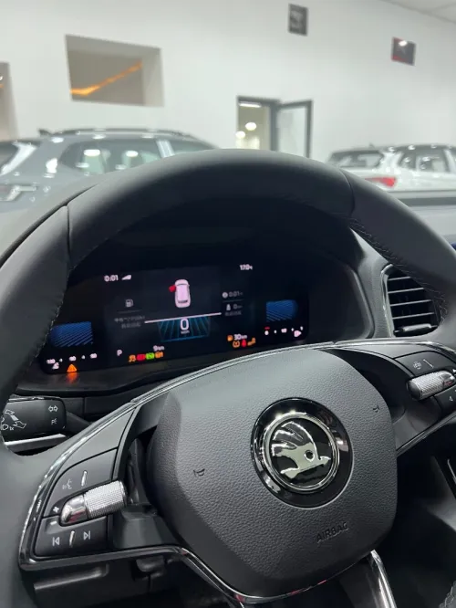 Skoda Karoq 2025 Luxury