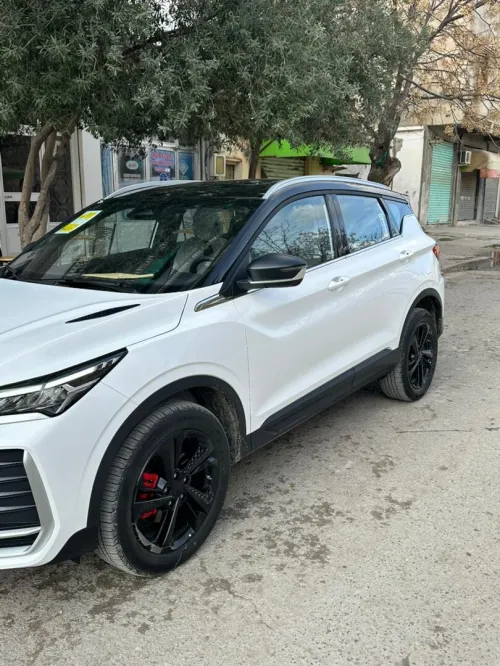 Geely Coolray 2025 Foul option