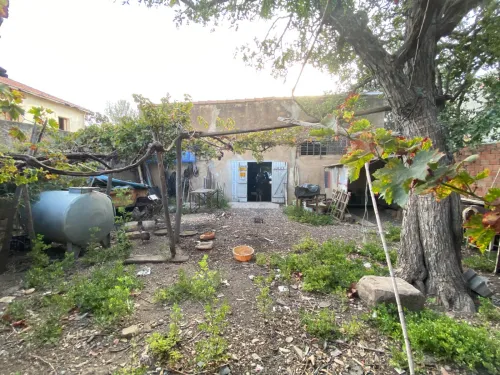 Location Hangar Chlef Tenes