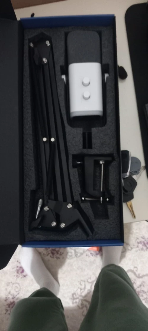 Microphone