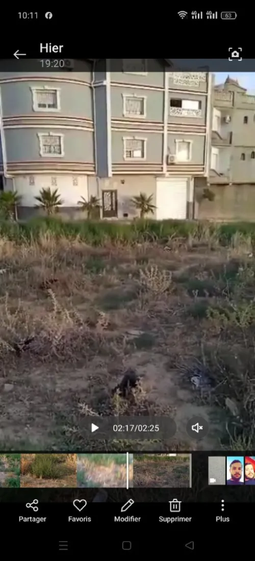 Vente Terrain Sétif Setif