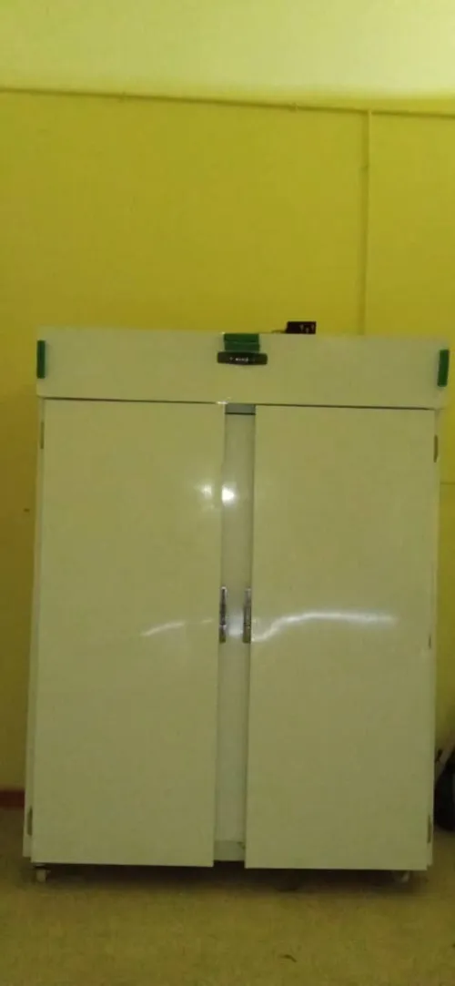 خط إنتاج بطاطا جاهزة للقلي