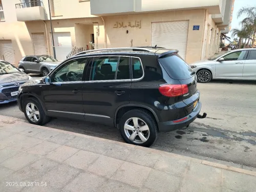 Volkswagen Tiguan 2014 Cup