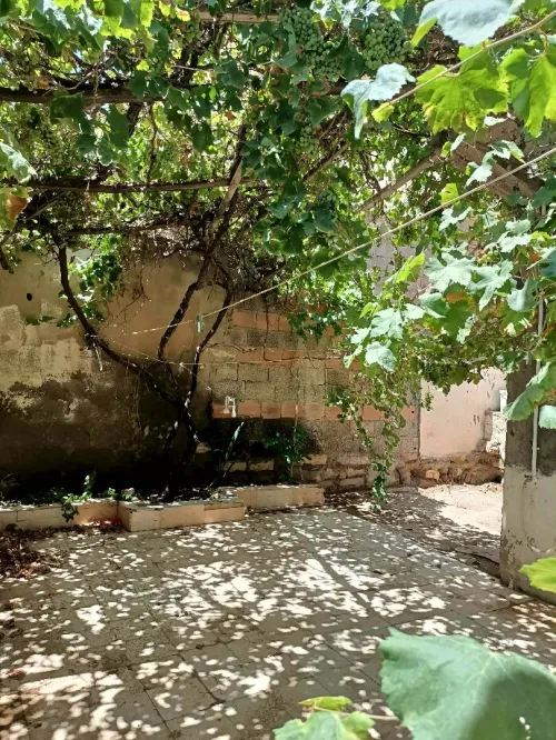 Vente bien immobilier Bordj Bou Arreridj El achir