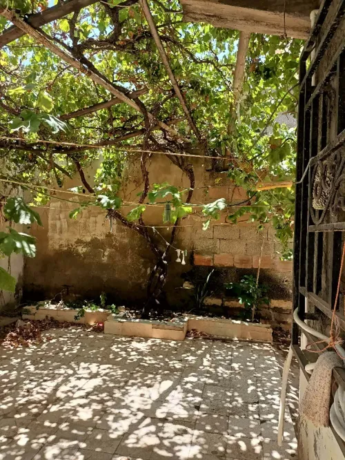 Vente bien immobilier Bordj Bou Arreridj El achir