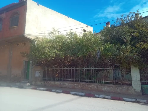 Vente Villa Sidi Bel Abbès Sidi ali boussidi