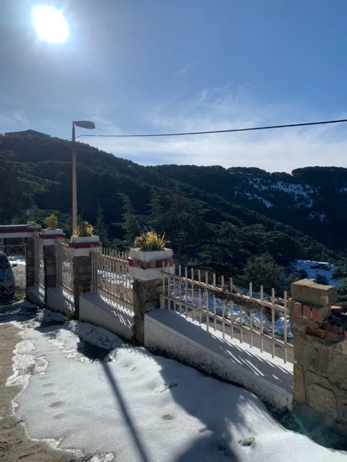 Location bien immobilier Blida Chrea