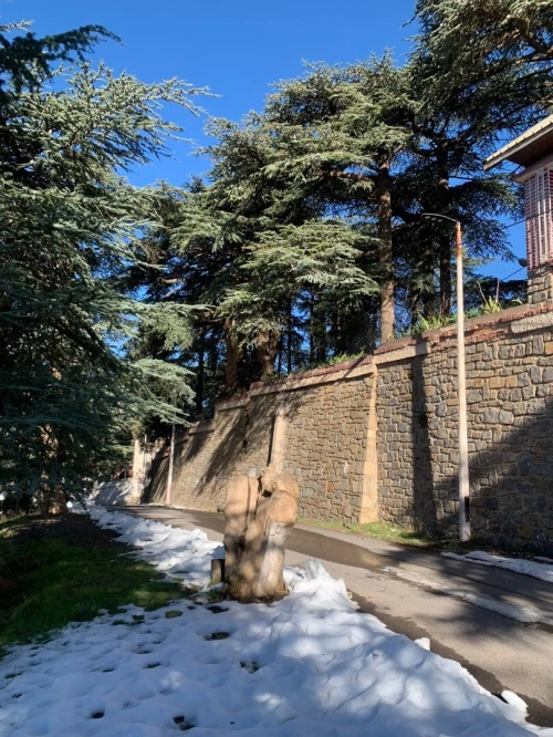 Location bien immobilier Blida Chrea